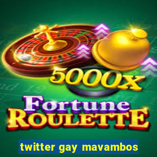 twitter gay mavambos